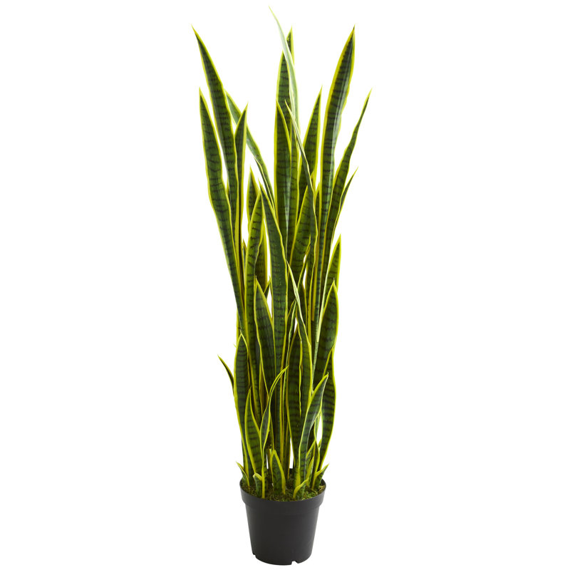 Bay Isle Home 60" Artificial Snake Plant in Pot Wayfair